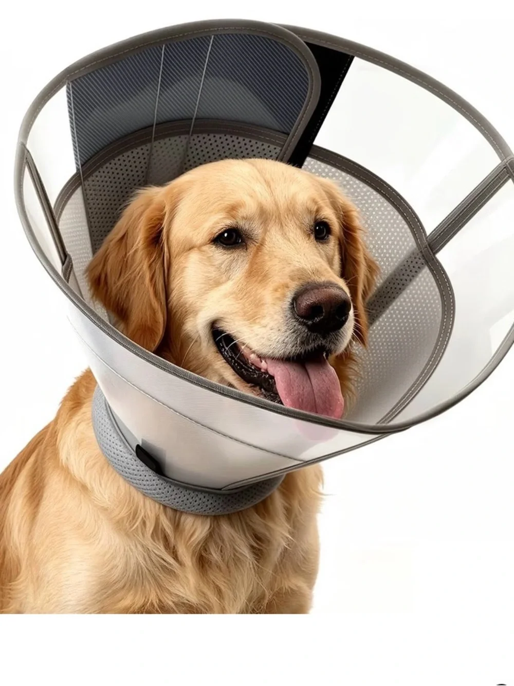Pet Recovery Cone for Dogs - Gray Clear Protective E-Collar